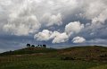 clouds at the tree prison